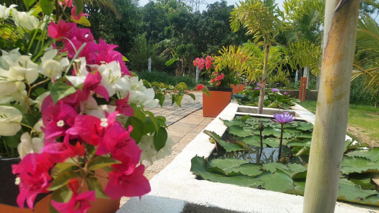Miheen Hotel & Resort - Anuradhapura Mihintale Bagian luar foto