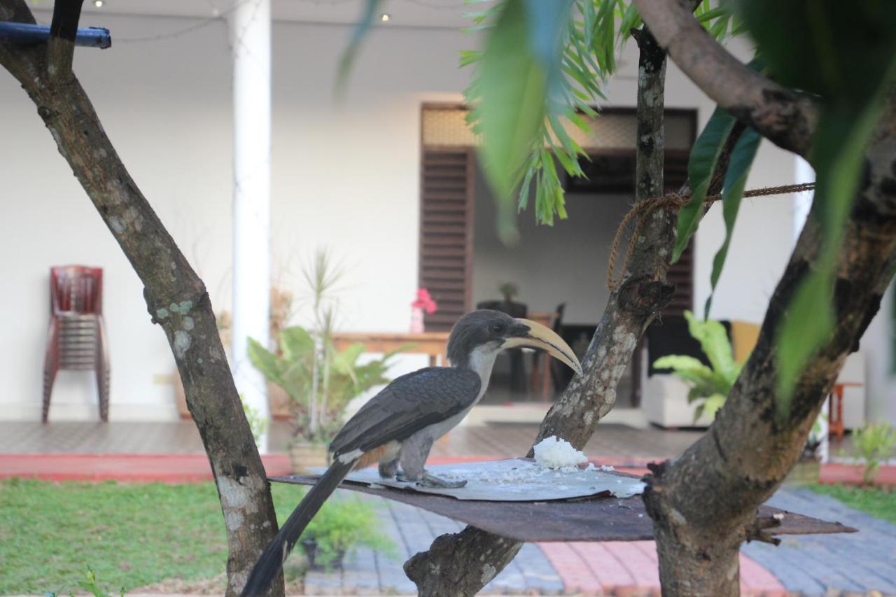 Miheen Hotel & Resort - Anuradhapura Mihintale Bagian luar foto